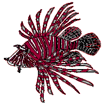 Lionfish