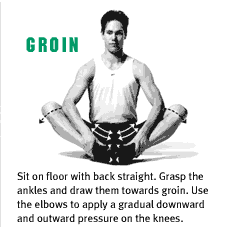 Groin