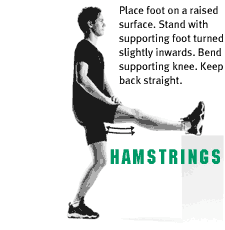 Hamstrings