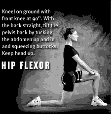 Hip Flexor