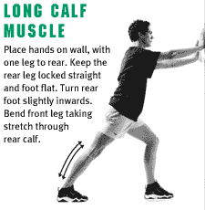 Long Calf muscle