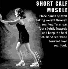 Short Calf muscle