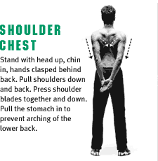 Shoulder / Chest